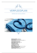 Leerjaar 1 HBO V G&T Producttoets 2&period;1&period; Verpleegplan &lpar;dossier&rpar; Mevrouw de Bont