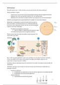 Biologie van planten - Deel 2