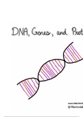 DNA, Genes, and Proteins Complete Notes