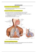 Ademhalingsstelsel