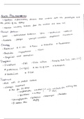 Handwritten Urology Notes 