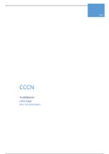 T4 verslag CCCN - Cross Cultural Communication