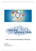 Unit 12 Internet Marketing in Business