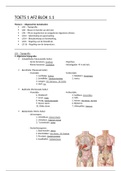 Anatomie, Fysiologie en Ziekteleer Toets Periode 1