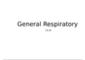 General Respiratory System 