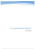 PE-Consumptief Krediet 2018