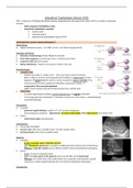 Obstetrics Notes (Medicine Finals Revision)