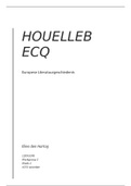 Essay recensies Houellebecq's Soumission - Groene Amsterdammer & New Yorker
