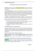APITULO 1-ORGANIZACIÓN FUNCIONAL DEL CUERPO HUMANO-GUYTON