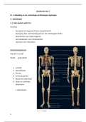 Anatomie: Skelet 
