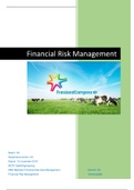 Moduleopdracht Financial Risk Management NCOI (8)