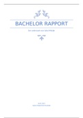 Bachelor Rapport
