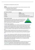 IB - BV Management and Organisation summary Y2Q2