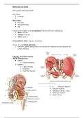 Dr.Aqua Anatomy Bundle 