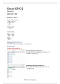 Excel (eerste jaar) samenvatting met screenshots
