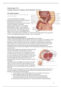 TLP 2: Urologie & Medische techniek