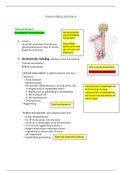 Samenvatting anatomie Regio College Leerjaar 1, zenuwstelsel & zintuigen