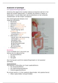 Anatomie H6.4 spijsverteringsorganen