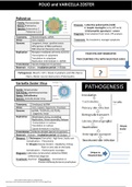 Virology (Polio virus and Varicella Zoster virus)