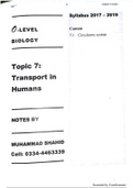 Topic 7-Transport in Humans