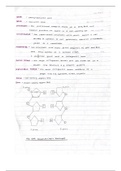 Life Sciences IEB Grade 12 notes 