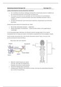 Anatomie- fysiologie CNA, leerjaar 2