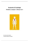 Anatomie Hoofdstuk 1 t/m 6 samenvatting leerjaar 1