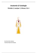 Anatomie Hoofdstuk 5 - Zenuwstelsel en reflexen