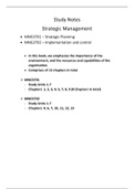 MNG3702 Summary Notes 