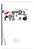 portfolio PCM periode 3 business studies Inholland jaar 1