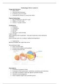 EMBRYOLOGY NOTES 
