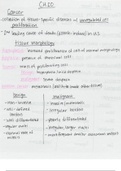 Cell Biology and Physiology BSCI330 Full Semester of Notes
