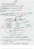 Cell Biology and Physiology (BSCI330) Ch. 15 Notes