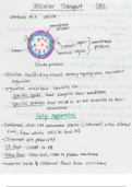 Cell Biology and Physiology (BSCI330) Ch. 13 Notes
