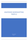 Anatomie toets 2 periode 2