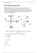 Project zenuwwerk - antwoorden natuurkunde/biofysica practicum
