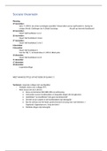 Sociale theori&euml;n samenvatting