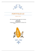 Portfolio U2