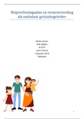 Verslag 'Hulpverleningsplan en verantwoording als ambulant gezinsbegeleider'