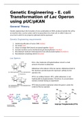 Genetic Engineering – E. coli Transformation of Lac Operon using pUC/pKAN 
