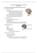 Leerdoelen HC 1 NAF - grote hersenen, kleine hersenen en de gezichtsbaan