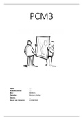 PCM 3 Verslag