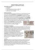 VWO Chemie Scheikunde Hoofdstuk 11 'Metalen in actie'