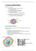 Tema 33 Microbiología
