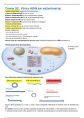 Tema 32 Microbiología