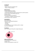 T Lymphocytes - Blood and Immune System Notes