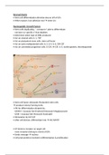 Haemopoiesis - Blood and Immune System Notes