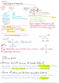 Summary biochemistry ch.4  Amino acid and polypeptide 