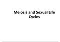 Meiosis and Sexual Life Cycle