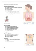 samenvatting anatomie ademhalingsstelsel